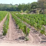 La Bastide Du Clos Des Roses - Teritoria Hotel 4*