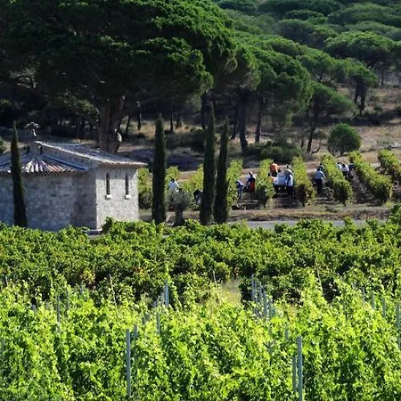 La Bastide Du Clos Des Roses - Teritoria 4* Фрежюс