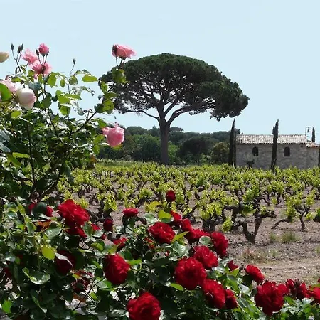 Отель La Bastide Du Clos Des Roses - Teritoria
