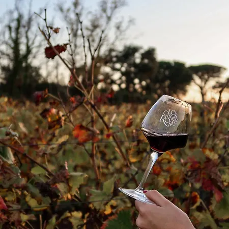 La Bastide Du Clos Des Roses - Teritoria Отель