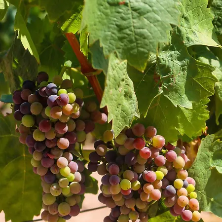 La Bastide Du Clos Des Roses - Teritoria Отель 4*