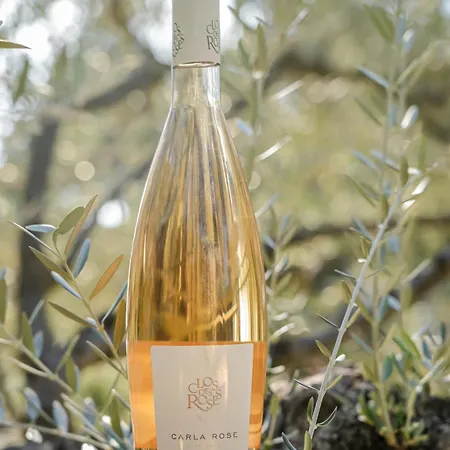 Отель La Bastide Du Clos Des Roses - Teritoria Фрежюс