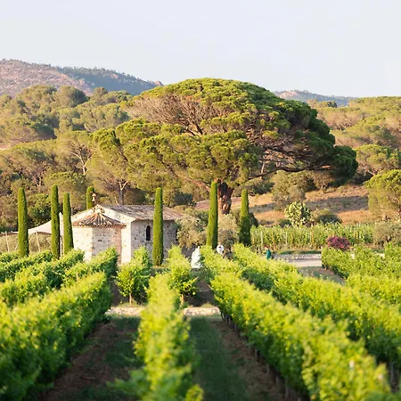 La Bastide Du Clos Des Roses - Teritoria Фрежюс