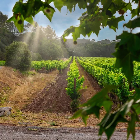 La Bastide Du Clos Des Roses - Teritoria Fréjus