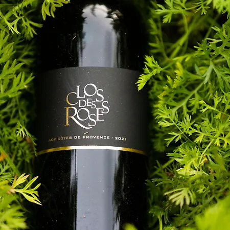 La Bastide Du Clos Des Roses - Teritoria 4*