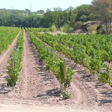 La Bastide Du Clos Des Roses - Teritoria Szálloda 4*
