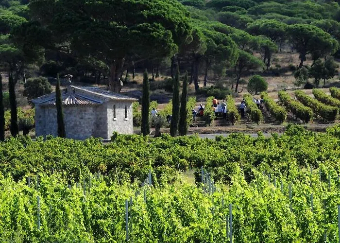 La Bastide Du Clos Des Roses - Teritoria 4* Fréjus