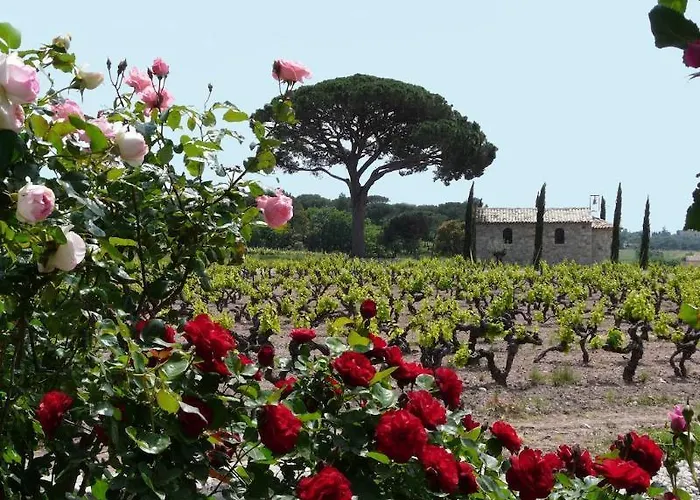 Hotel La Bastide Du Clos Des Roses - Teritoria