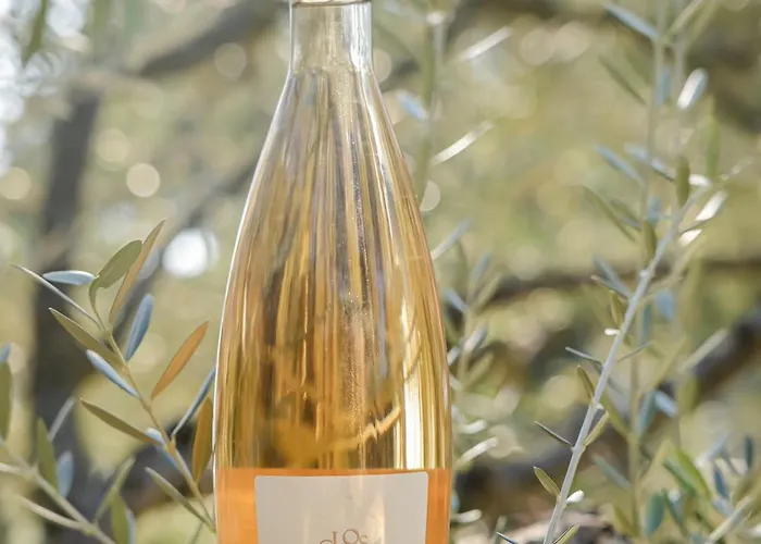 Hotel La Bastide Du Clos Des Roses - Teritoria Fréjus