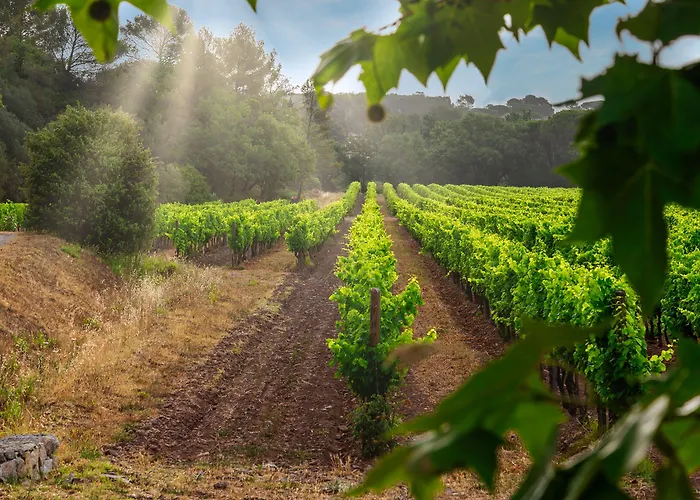 La Bastide Du Clos Des Roses - Teritoria Fréjus